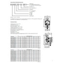 Lowara 20-4/130 ecocirc S+ HE - Heizungpumpe