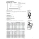 Lowara 15-4/130 ecocirc S+ HE - Heizungpumpe