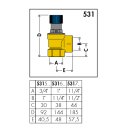 Caleffi 531 Membran-Sicherheitsventil Trinkwasser 1/2" - 10bar