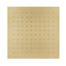 Herzbach DESIGN IX PVD Regenbrause square 250*250 mm Brass